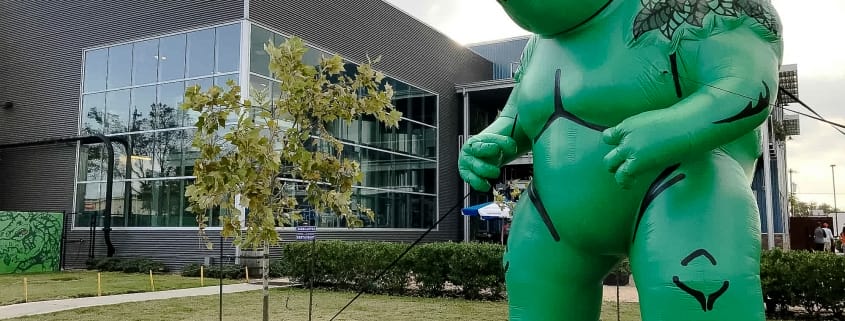 Inflatable Character